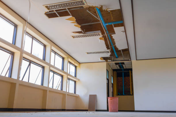 Carpet water damage restoration in NY