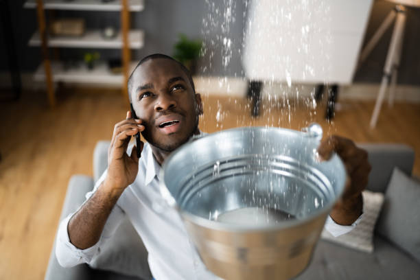 Best Ceiling water damage repair  in Harriman, NY
