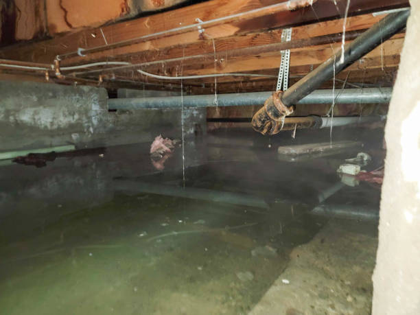 Best Water damage contractors near me  in Harriman, NY