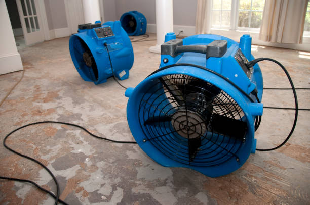 Best Water damage contractors near me  in Harriman, NY