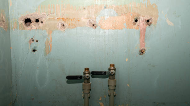 Best Commercial water damage restoration  in Harriman, NY