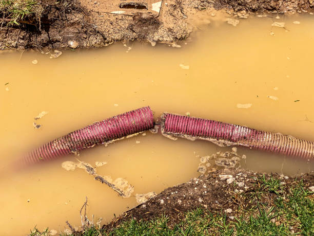 Best 24-hour water damage restoration  in Harriman, NY